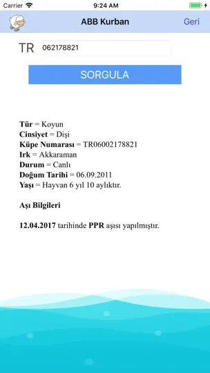 Ankara Kurban iPhone Ekran Görüntüsü 3