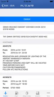 737 pilot iphone capturas de pantalla 3