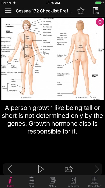 Amazing Human Body Facts, Quiz