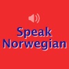 Fast - Speak Norwegian icon