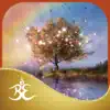 Mindful Living Meditations App Positive Reviews