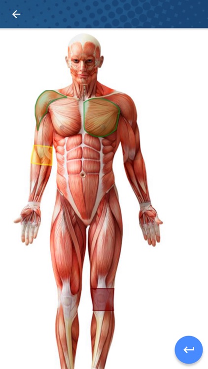 SportMed App screenshot-5