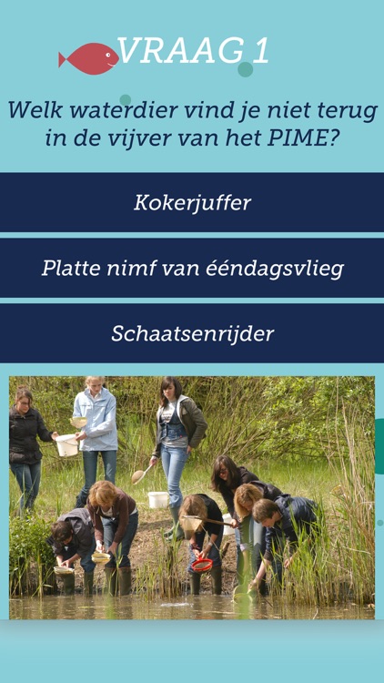 Kegelspel -Provincie Antwerpen screenshot-3