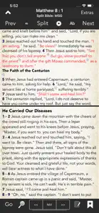 BibleScope: Message and ERV screenshot #2 for iPhone