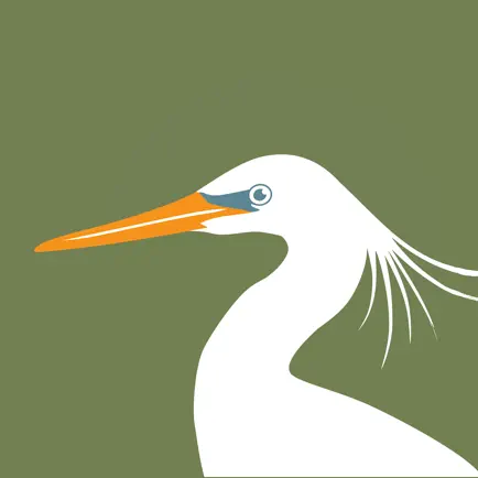 HKBirds: Birds of Hong Kong Читы