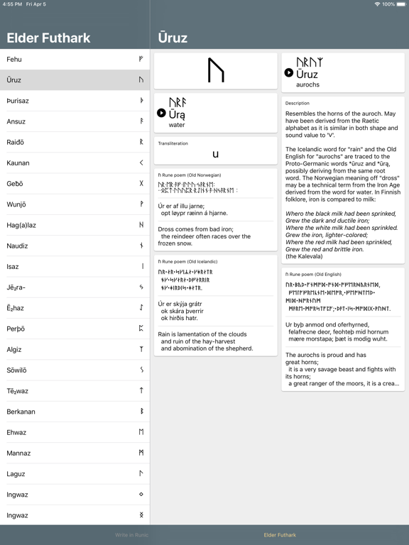 Screenshot #5 pour Write in Runic