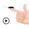 Animated Cockroach Sticker