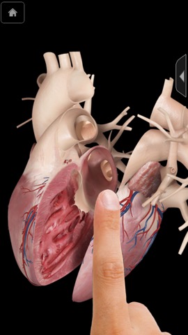 3D4Medical Body Systems for iPhoneのおすすめ画像7