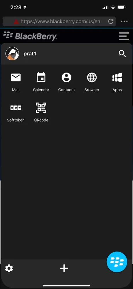BlackBerry Access