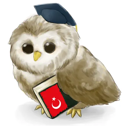 MTL Learn Turkish Cheats