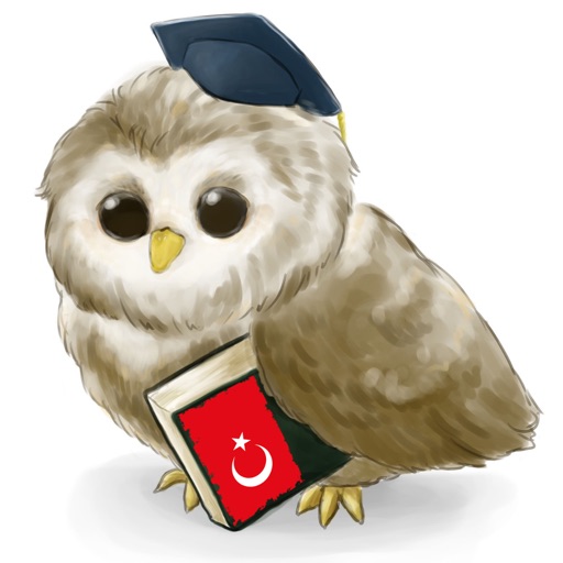 MTL Learn Turkish iOS App