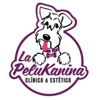 Pelukanina icon