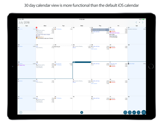 Informant 5 Calendar iPad app afbeelding 1