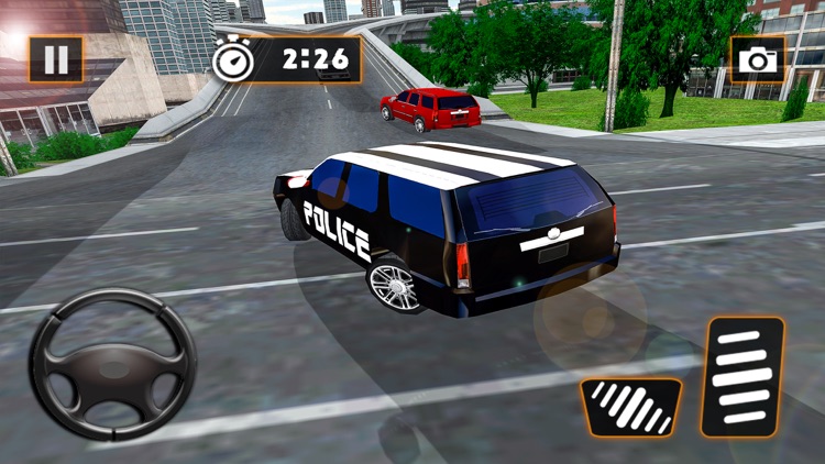Real City Police Car Parking screenshot-4