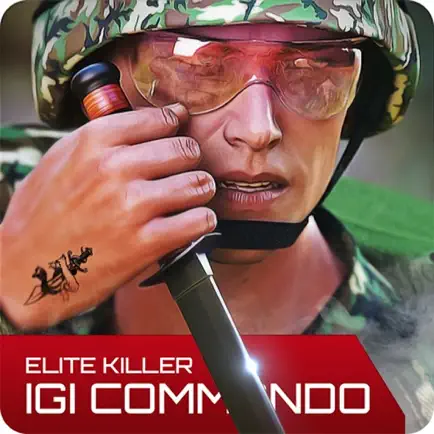 IGI Elite US Army War Shooting Читы