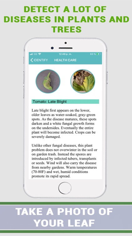 Plant Disease Identifier Prime screenshot-7