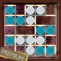 Dots and Boxes  Premium