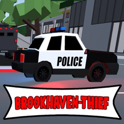 Brookhaven Houses Thief Game