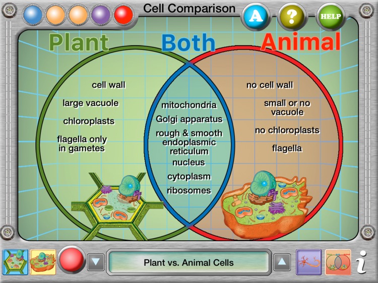 Plant and Animal Cells screenshot-4