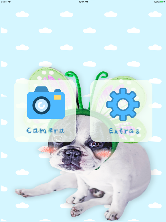 Screenshot #4 pour My awesome Pet Shots