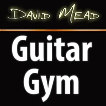 David Mead : Guitar Gym müşteri hizmetleri