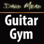 David Mead : Guitar Gym app download