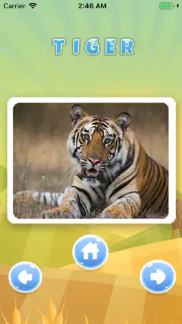 Game screenshot Learn Animal Vocabulary Eng hack