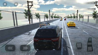 Offroad Car Simulator 3 Screenshot