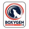 Boxygen Vocals - Cloud Voip