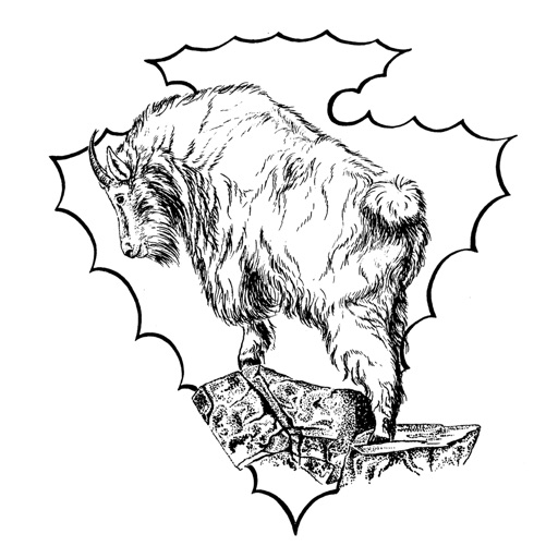 Traditional Bowhunter Magazine Icon