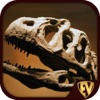 Palaeontology Dictionary