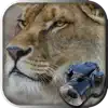 Hidden Object Safari - Animals negative reviews, comments