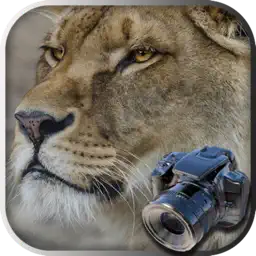 Hidden Object Safari - Animals app icon