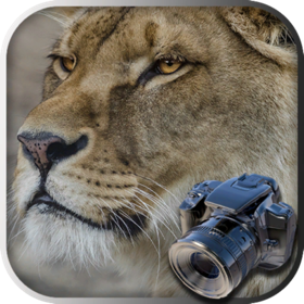 螢幕擷取畫面 (5) Hidden Object Safari - Animals
