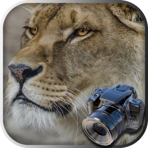 Hidden Object Safari - Animals