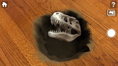 Fossil Huntのおすすめ画像6