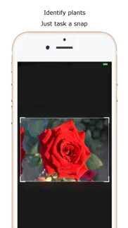 iplant - plant identification iphone screenshot 1