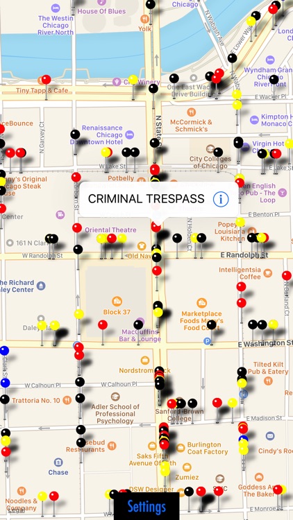 Chicago Crime Map