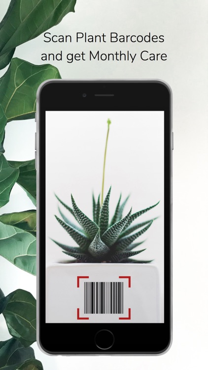 SmartPlant: Identify & Care