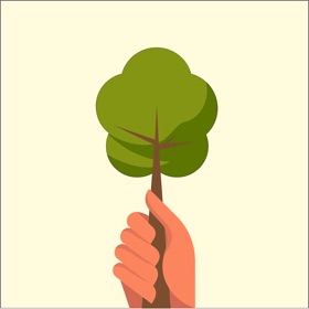 螢幕擷取畫面 (3) Bangalore Tree Census