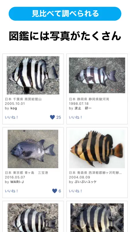 魚みっけ screenshot 5 of 6