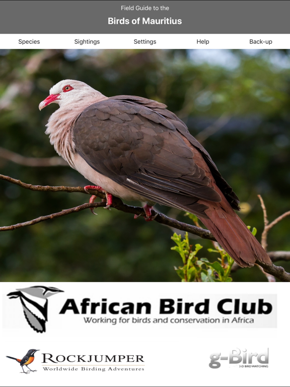 Screenshot #4 pour Birds of Mauritius