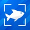 Instantly identify fishes