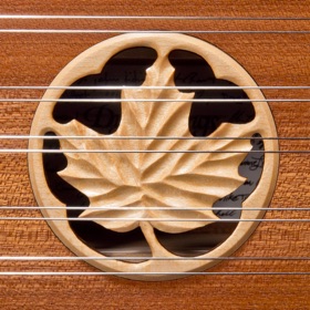 螢幕擷取畫面 (4) Dusty Strings D550 Dulcimer