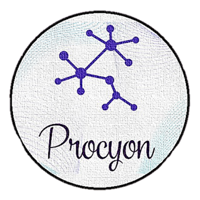 Procyon Tecnologia