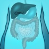 Digestive System Quizzes icon