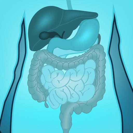 Digestive System Quizzes