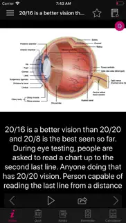 human eye anatomy fact,quiz 2k iphone screenshot 2