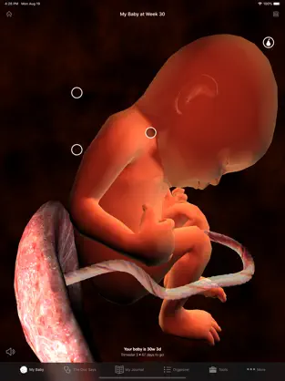 Captura de Pantalla 1 Embarazo • Sprout iphone