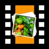 MyImageToVideo icon